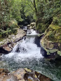 Private Forest, Natural Waterfall and Volcano View - Image 3