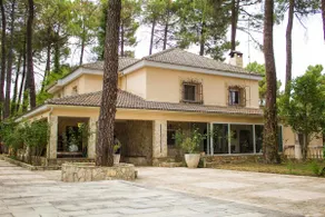 THE PINE GROVE CHALET - Image 2