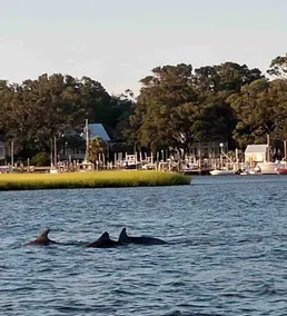Southport’s Southern Charm - Image 2