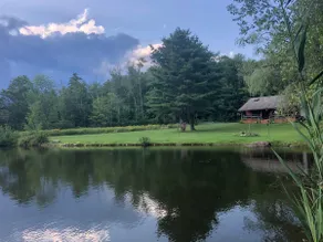 Rustic cabin on private pond and 7 acres! Woodstove, porch for wildlife viewing - Image 4