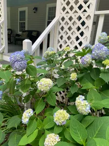 Charming Cotuit Classic - Image 2
