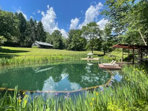 Modern Barn on 12 acres w Sauna, FirePit+swimming - Image 2