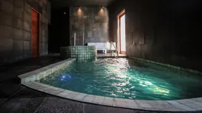 Remote work- Fast WiFi -SPA- King bed Central Park - Image 3