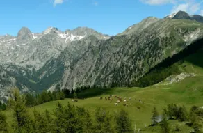 gîtes à la ferme dela le var - Image 3