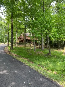 Pioneer Rock Cabin near river and trails - Image 2