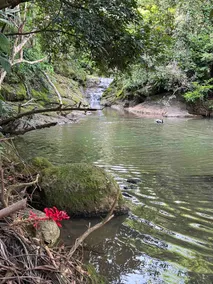 Riverside Dream-Río Toa Vaca (River) - Image 5