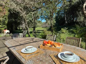 160 m² character house - Image 2