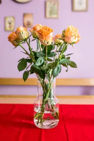 Cozy Istrian House - Image 2