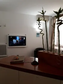 Suite Passion 15 - Image 4