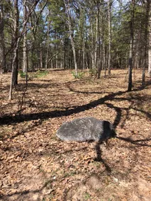 Little Manistee River Cabin - Image 3