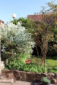Sophie's cottage - Image 5