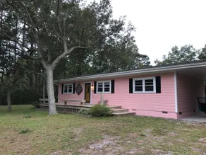 The Pink Flamingo - Image 2