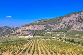 Villa Bonifato Pool, Vineyards and Breathtaking View - Image 5