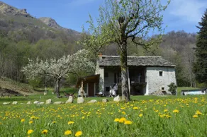 ”La gruttin” Country rooms in Valchiusella - Image 4