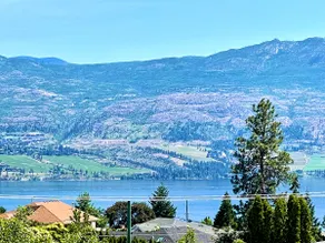 Year-Round Heated Pool, Hot Tub, Private Vineyard, Lake Views - Image 5