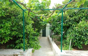 Potirna - taste of feeling of summer in village - Image 5