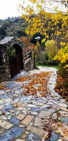 Settas Mansion for nature lovers - Image 2