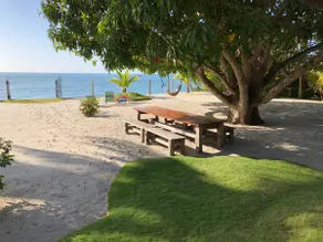 Beachfront | Unique Tropical Artist Home | 3 BR - Image 5