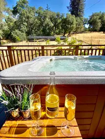 ❤The Elegant: A Healdsburg Winery Abode! Hot Tub!❤ - Image 3