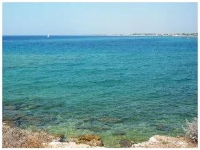 A castle overlooking the sea - Image 2
