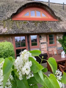 Second House on the Danish Wieck • Strandweg - Image 2