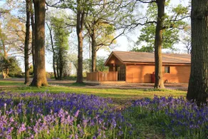 Bluebell Lodge in West Sussex, close to Brighton - Image 2