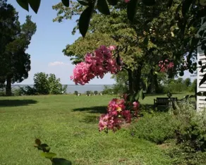 1800's Manor House on the James River - Image 3