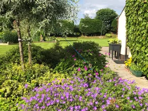 Charming 2 Bedroom Apartment Blessington Wicklow. - Image 5