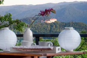 Castle&Garden view *Sauna* Yoga studio* Garden1 - Image 5