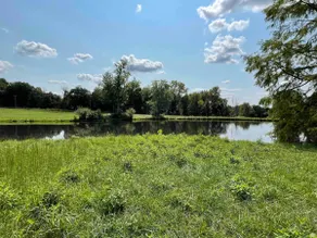 Country Living - No cleaning fee - Image 3