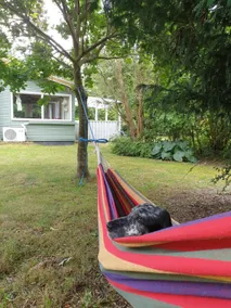 Cozy cottage in enclosed garden close to beach - Image 5
