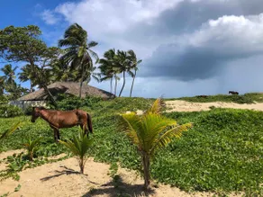 ⛱🏝Unique☆ Breathtaking★ Beachfront🗝 Private Pool 🏝⛱ - Image 3