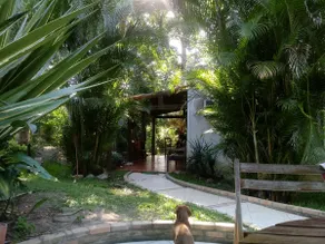 Sitio Nascente. Very green near the beach. - Image 2