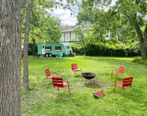 Pet Friendly Paradise - Image 2