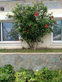 ILIACHTIDA near airport Furnished Apartment Artemis - Image 5