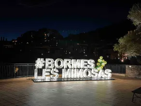 Bormes les Mimosas amazing view - Image 2