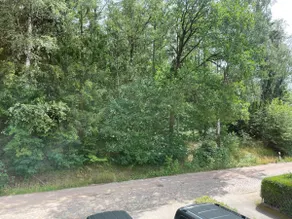 Charming guest house, idyllically located on the edge of the forest - Image 2