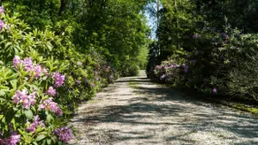 Peace, space and relaxation in the middle of nature! - Image 3