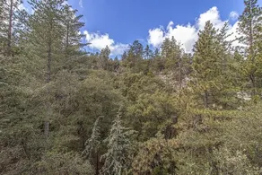Treetop Getaway in the Ponderosa Pines - Image 3