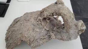 Apartman Amphora - Image 3