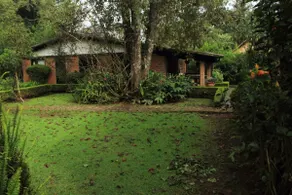 Beautiful garden with Casa de Campo! - Image 2