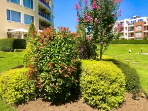 Sea View NewApartment-Bulgaria-Chernomorets - Image 4