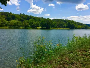 Deltopia on Waterfront New River/Claytor Lake - Image 3