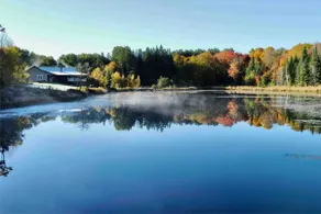 Haliburton Highlands Retreat *w/Starlink!* - Image 4