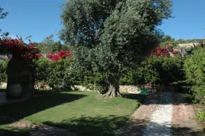 Villa Charlie ligger 100 m fra stranden i Porto Giunco - Image 3