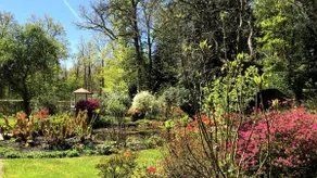 Villa Forestier in Breda, top forest location - Image 2