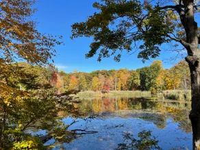 Secluded Lakefront Chalet•Firepit•Yard Dogfriendly - Image 3