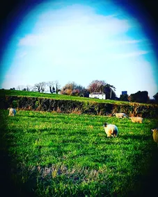 Manor Farm Cottage - Image 2