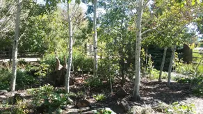 Taos Casa near the Plaza - Image 2