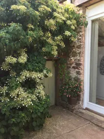 Idyllic, refurbished character barn. Sleeps 2. - Image 5
